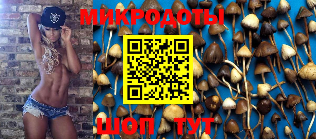 Псилоцибиновые грибы GOLDEN TEACHER  Вход с VPN  Калач-на-Дону 